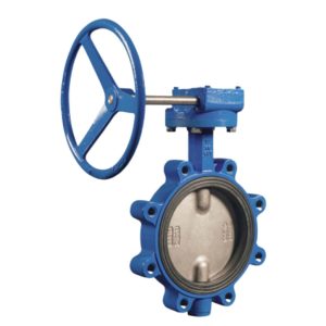 Concentric Butterfly Valve