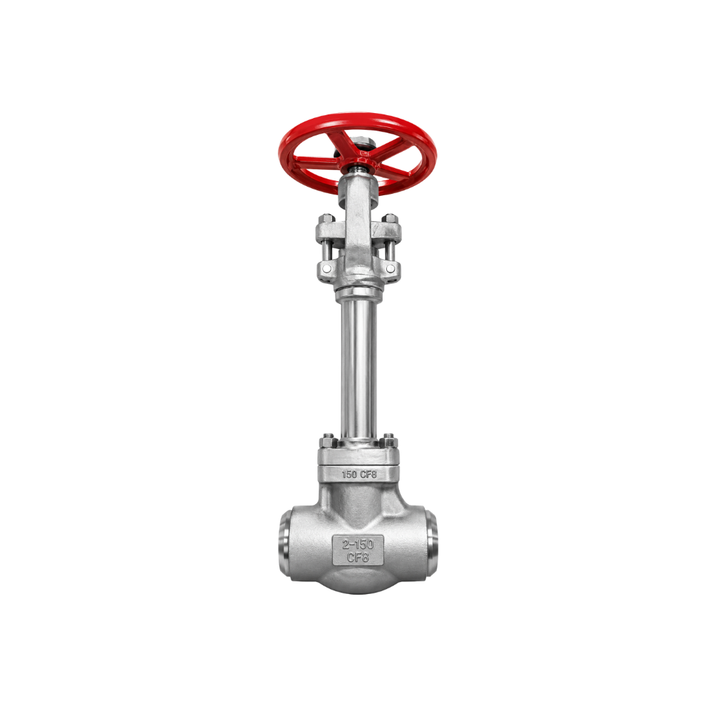 Cryogenic Globe Valve