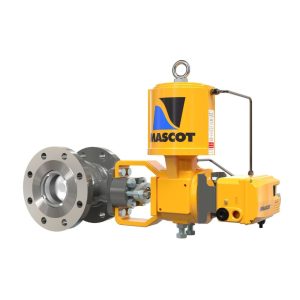 Eccentric Plug Control Valve