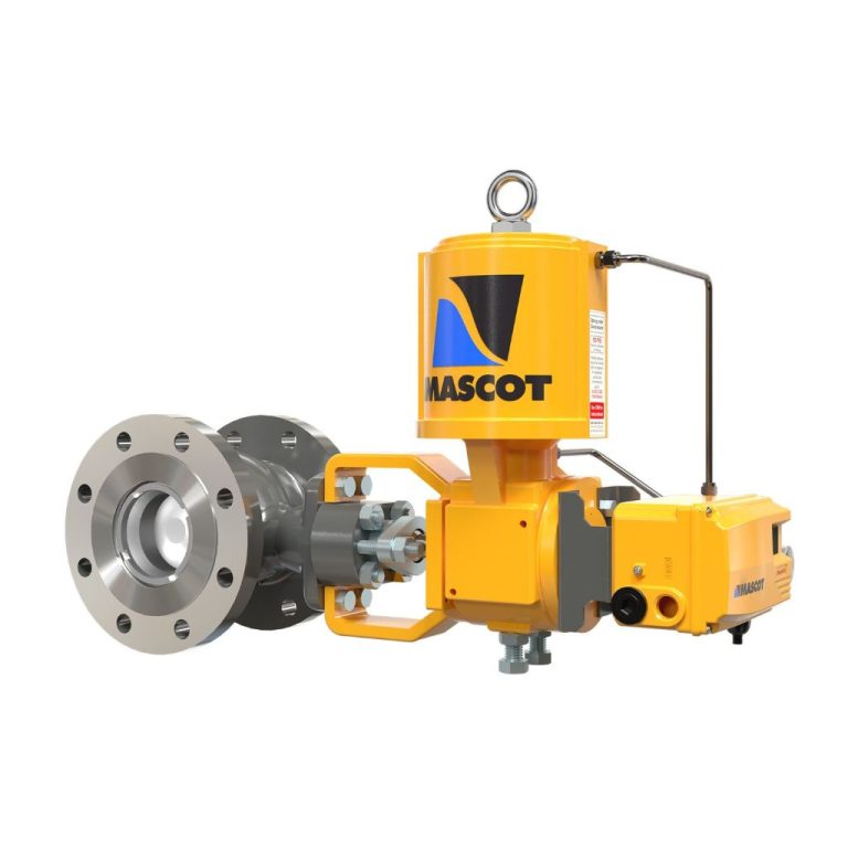 Eccentric Plug Control Valve