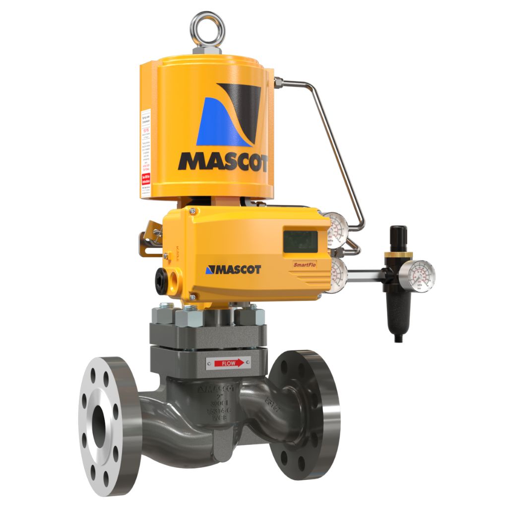 Globe Control Valve