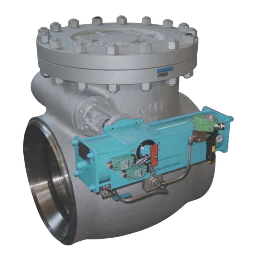 High Pressure Check Valves Series CMI-C
