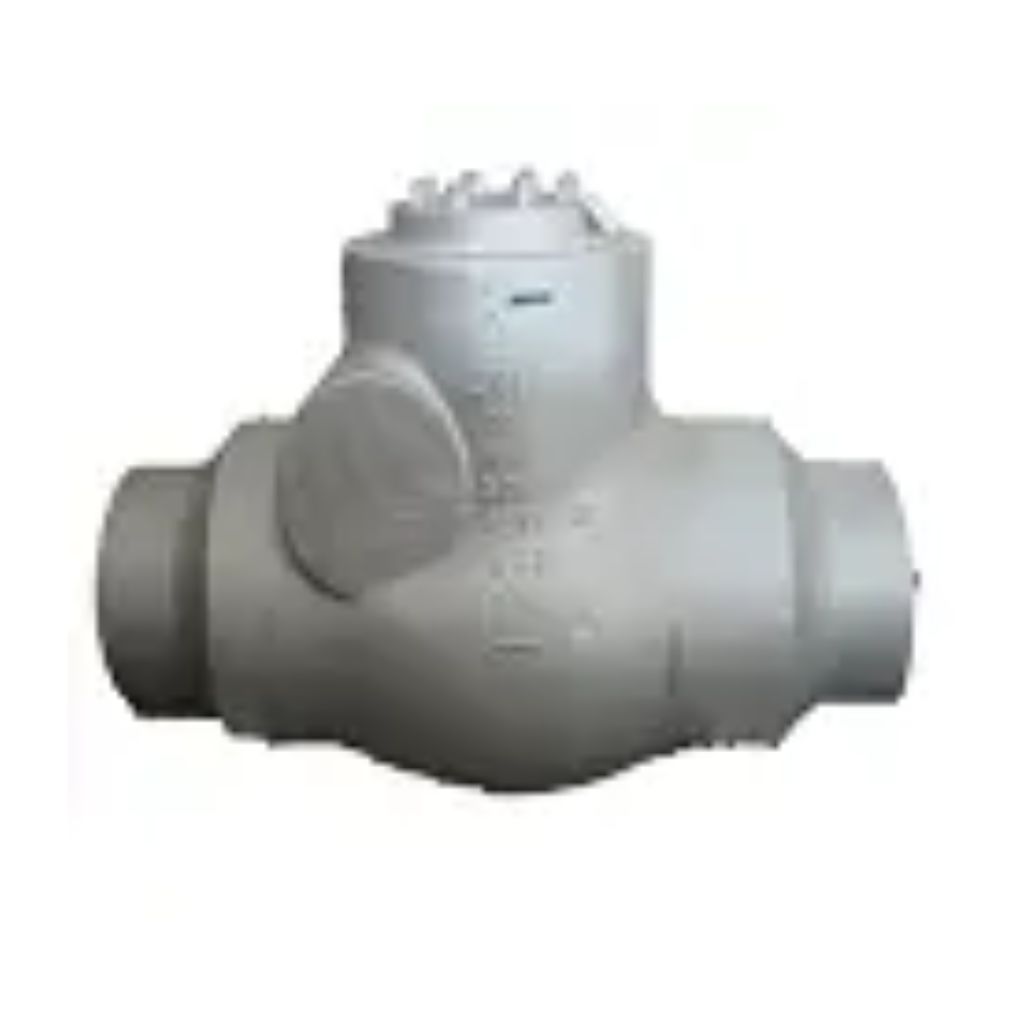 High Pressure Check Valves Series CMI-C