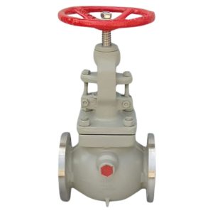 Jacketed Globe Valve
