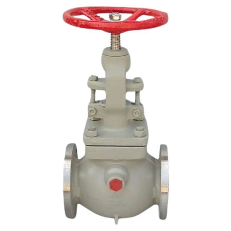 Jacketed Globe Valve