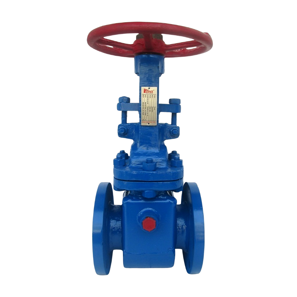 Pneumatic/Motorized Gate Valve