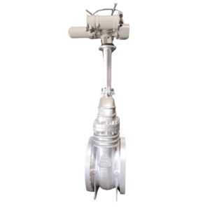 Pneumatic/Motorized Gate Valve