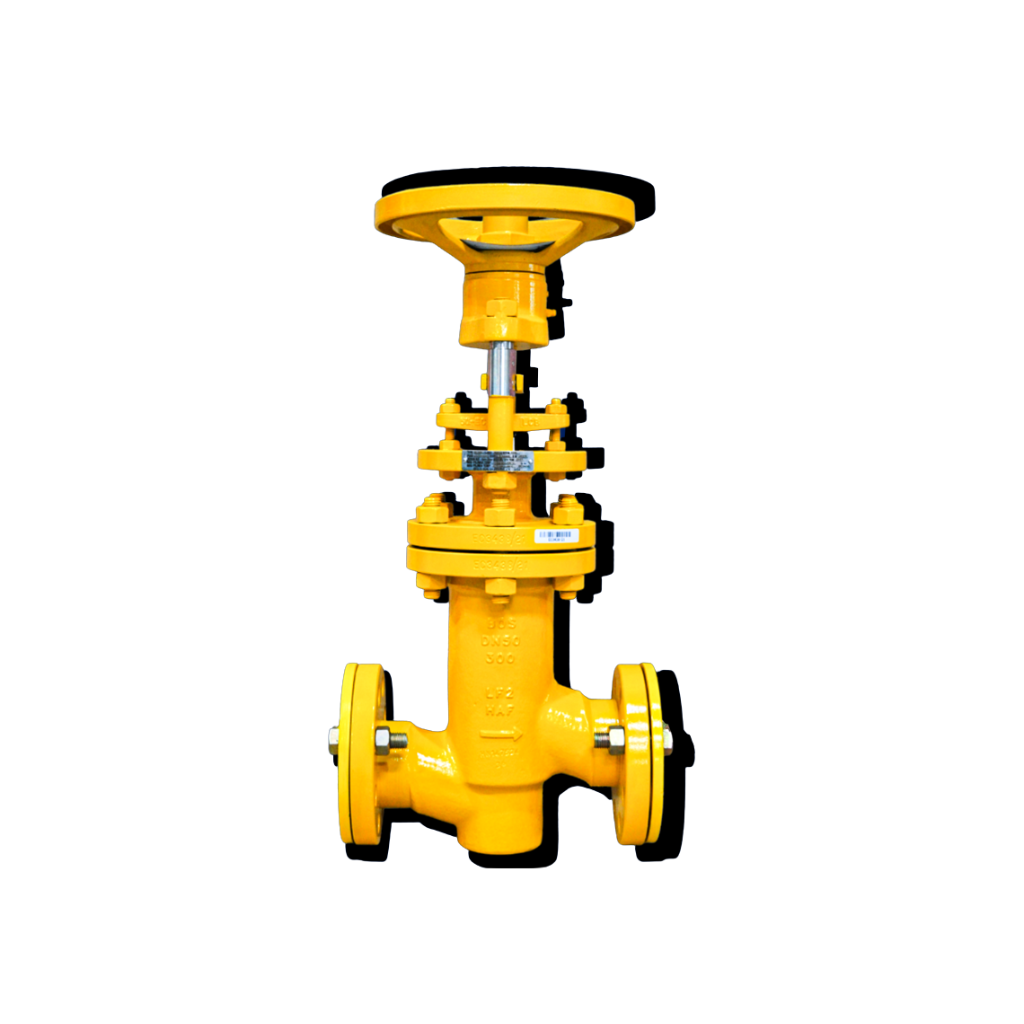 Valve For Chlorine Applications