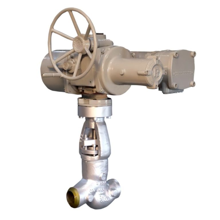 High Pressure Globe Valves Series CMI-G