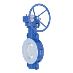 PFA/PTFE Lined Concentric Butterfly