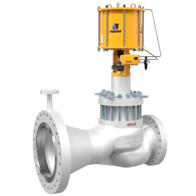 Combined Steam Conditioning Valve