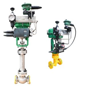 Euro Chlor Approved Shut-Off & Control Globe Valves